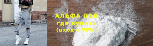 индика Кулебаки