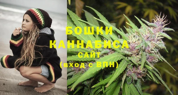 бошки Краснослободск