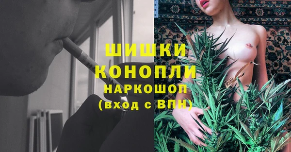 бошки Краснослободск