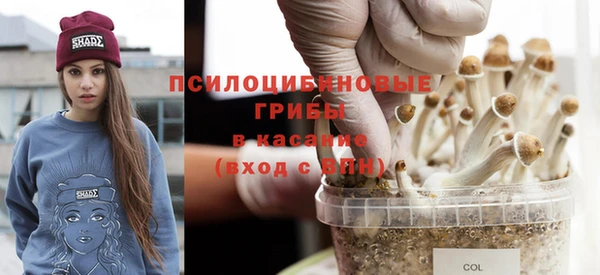 бошки Краснослободск