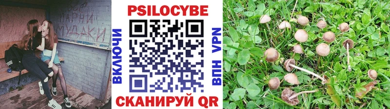 Галлюциногенные грибы Psilocybine cubensis  Купить закладки  Задонск 